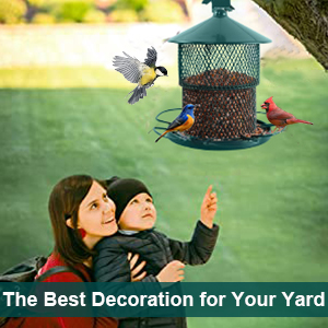 bird feeder