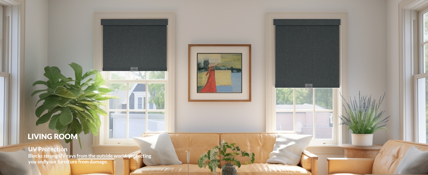 MoDanCeQ Blackout Roller Shades for Windows, Cordless