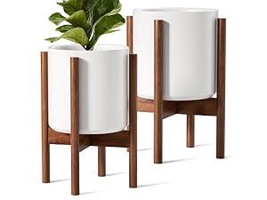 VALIEM willing plant BOWL-Ｌ VALIEM willing plant BOWL-L
