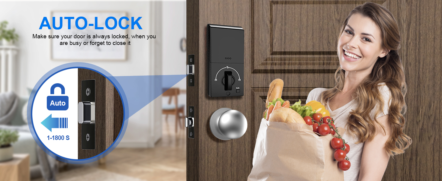 keyless entry door lock deadbolt with handle set