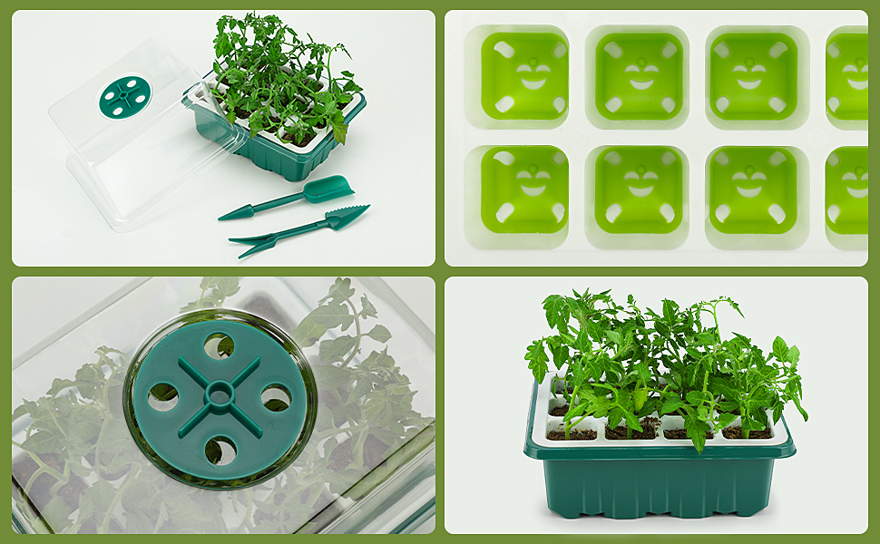 seed starter tray 