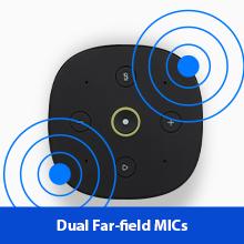 Dual Far-field MICs