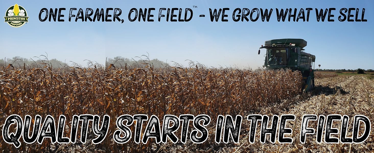 Mushroom Popcorn Kernels by Princeton Popcorn Farm Grown, Non GMO