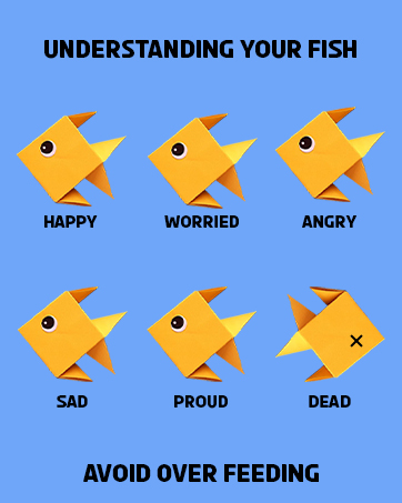 Understanding your fish