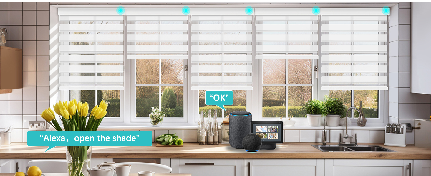 Motorized Zebra Roller Shades