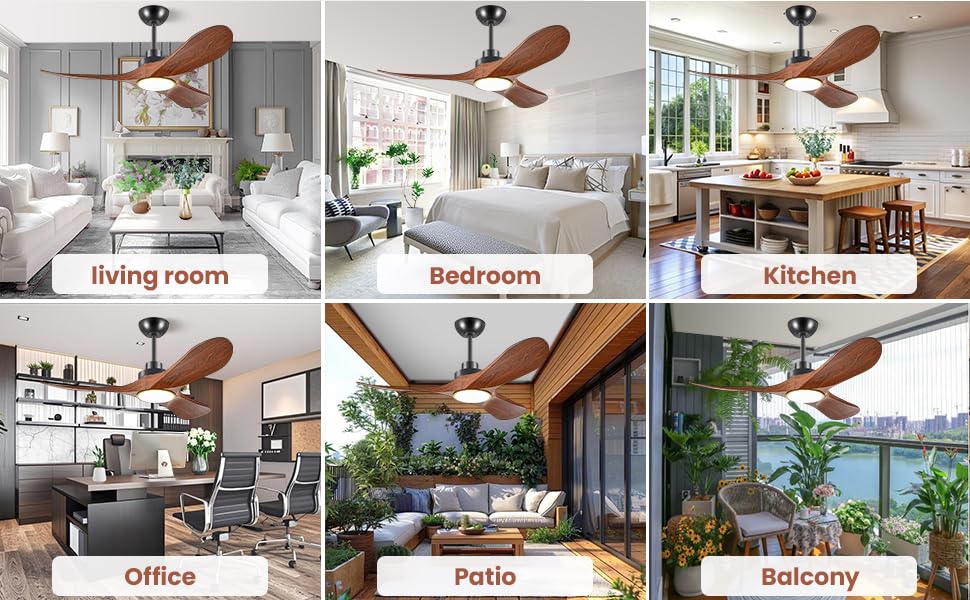 Ceiling fan with lights