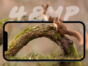 Close-up of a small rodent, possibly a mouse, climbing on a curved piece of wood or bark.
