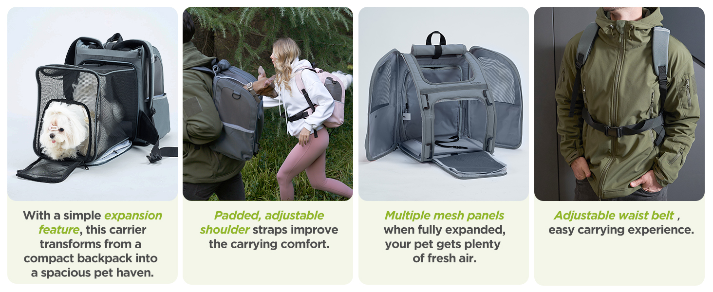 Comfortable Experience