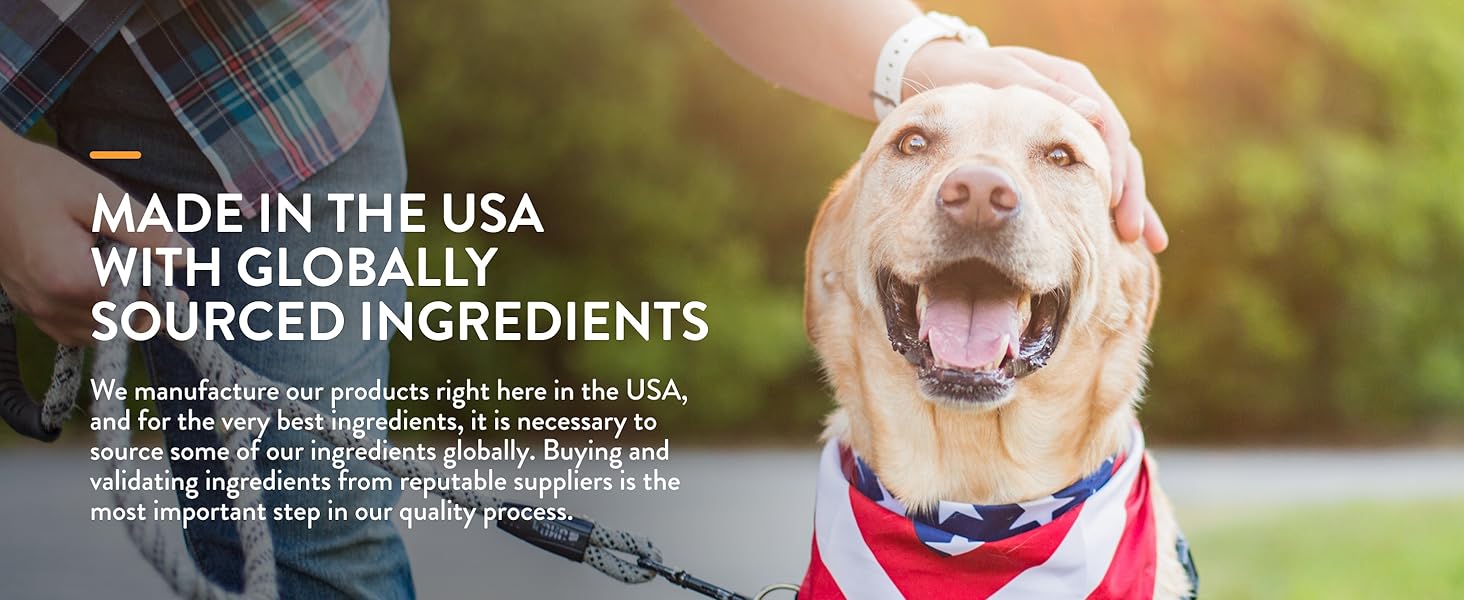 Pet Probiotics