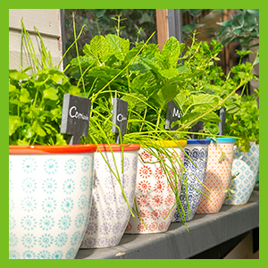 hand-printed plant pot