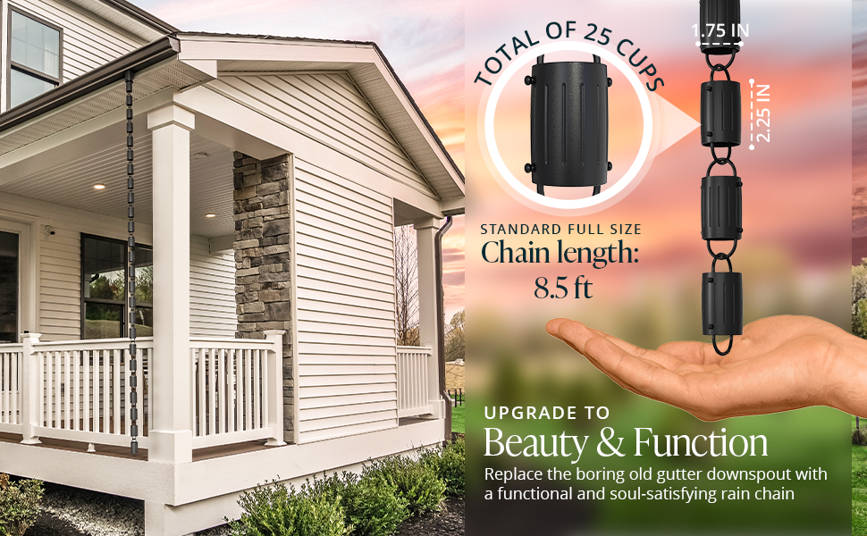 Upgrade to Beauty and Function