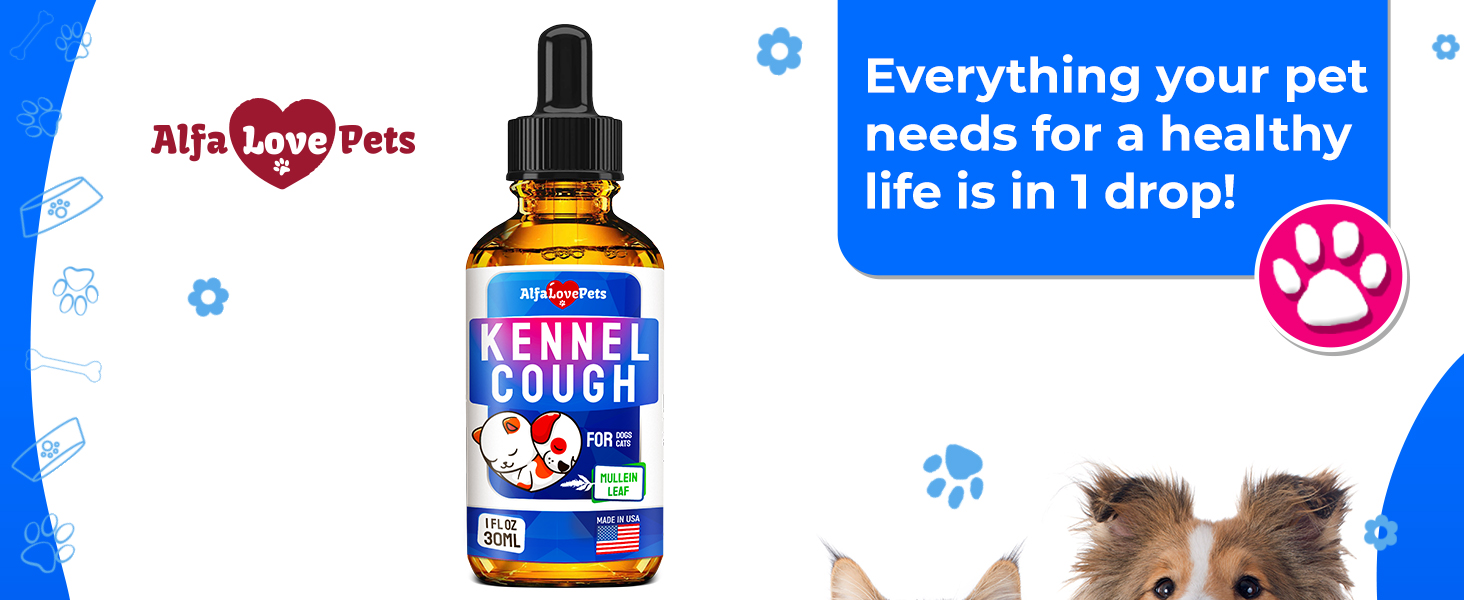 dog cough, kennel cough