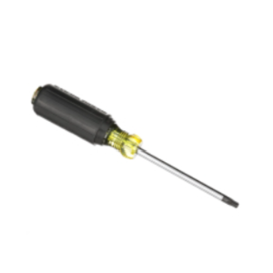 Klein Tools 19546 TORX T30 Screwdriver with 4-Inch Round