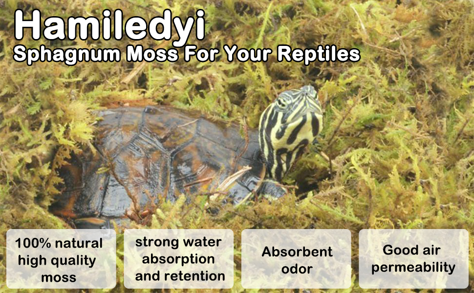 Hamiledyi Natural Sphagnum Moss Bedding Reptile Moss for