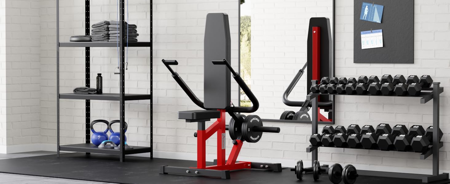 syedee Seated Dip Machine Plate Loaded Tricep Dip Press