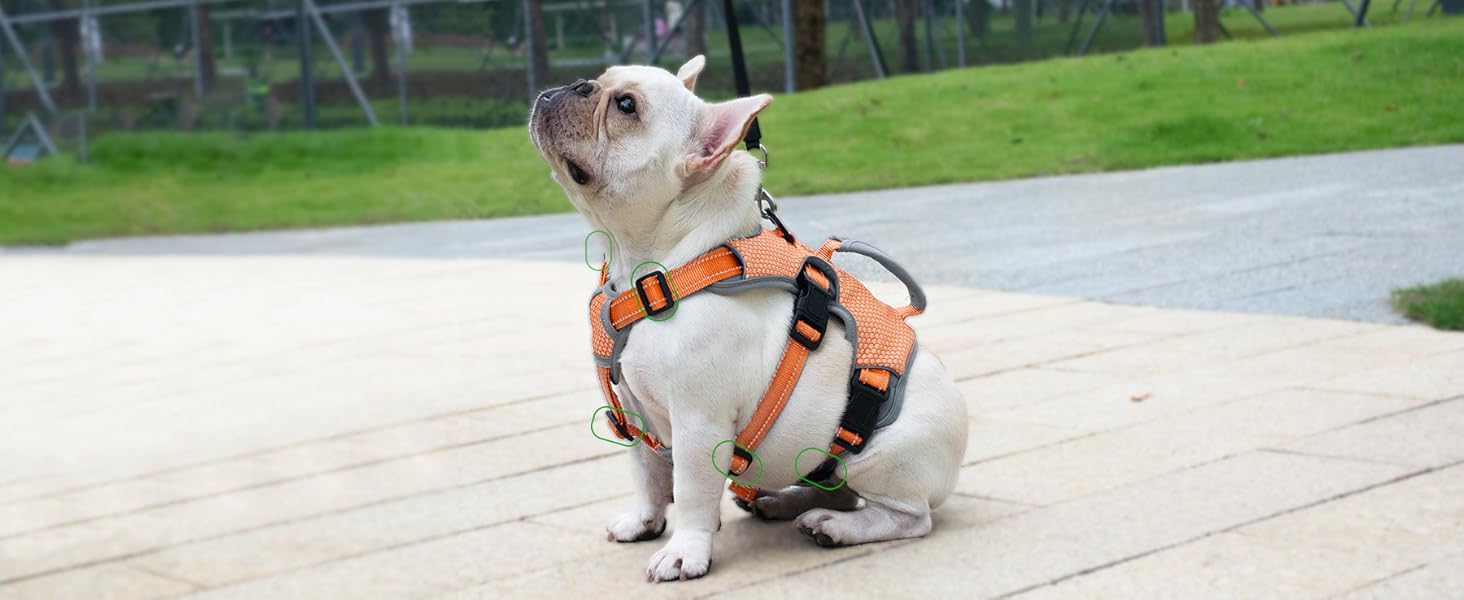 escape proof dog harness