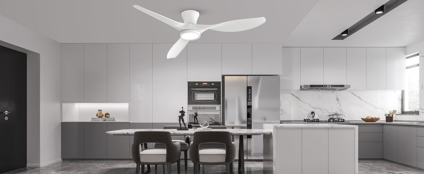 ceiling fan