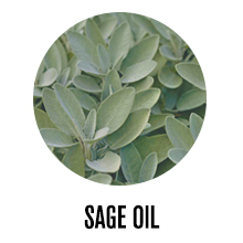 Sage Oil