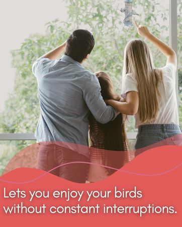 bird seed hot pepper squirrel resistant bird seed