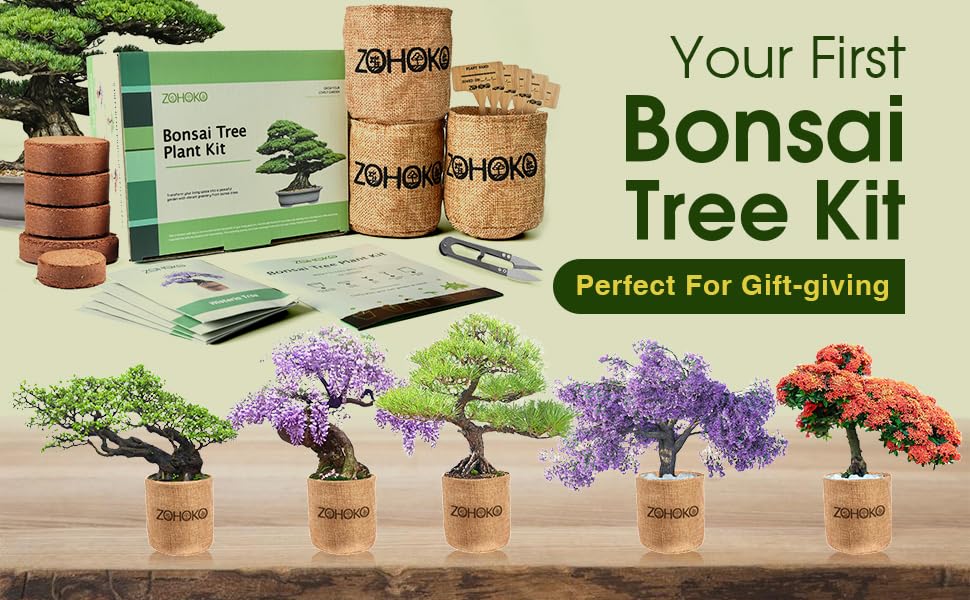 ZOHOKO Bonsai Tree Kit wtih 5 Mini Bonsai Trees, Bonsai