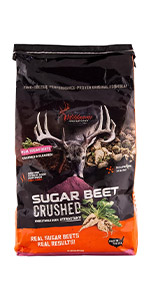 Sugar Beet