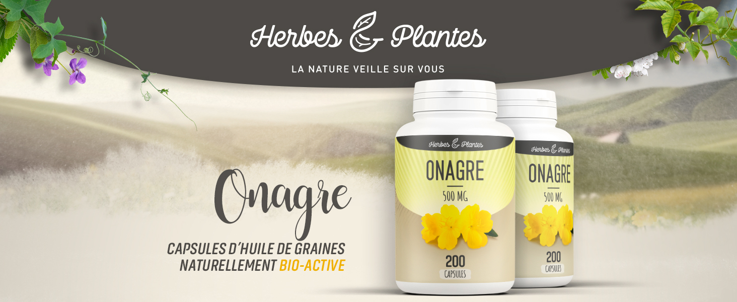Deux boîtes de produits cylindriques jaunes présentées sous la marque « Herbes & Plantes » avec le texte « Onagie », sur fond naturel brumeux