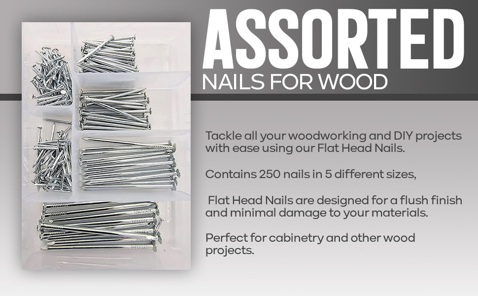 ZYBUX 250pk Assorted Nails for Wood Iron Nails for Hanging Pictures