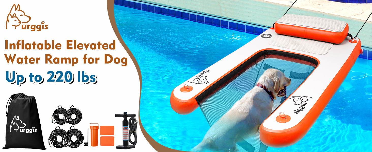 Erhöhte Hundewasserrampe