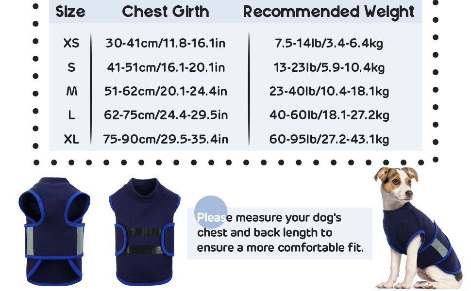 thundershirt hund
