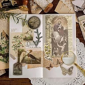 vintage paper for butterfly room decor and bullet journal supplies