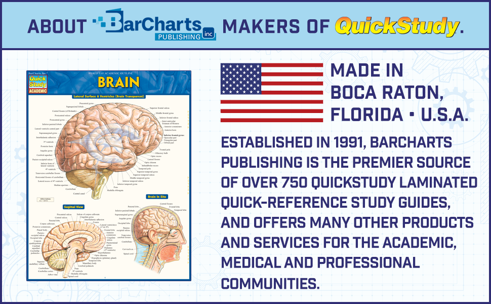 PHYSIOLOGY Quick Study Academic 生理学 QuickStudy | Physiology Laminated Study Guide (9781572227910)