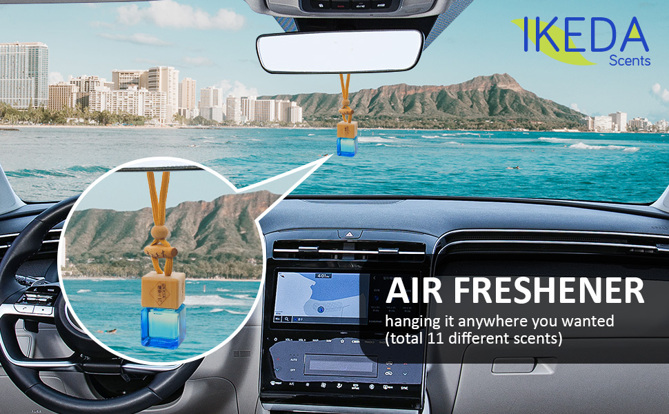 Car Air Fresheners for Men Car Fresheners with Odour Eliminator