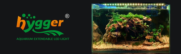 aquarium light