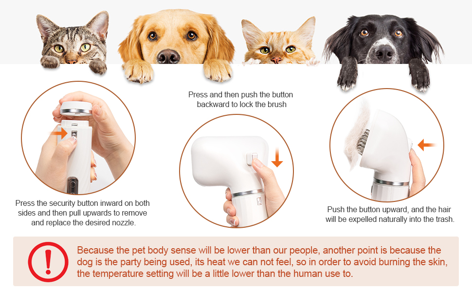 dog dryer