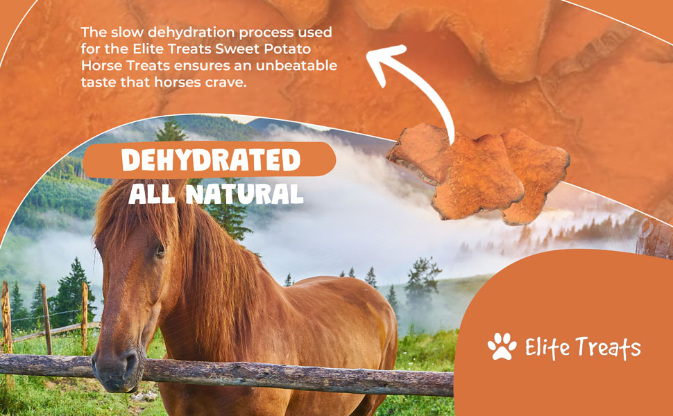 donkey supplies, horse training treats, horse bites, horse treats natural