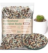 Sukh 2LBS Horticultural Succulent Rocks Bonsai Mix Succulent Potting Mix Lava Rocks Cactus Soil P...