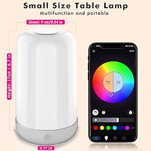 Small size table lamp