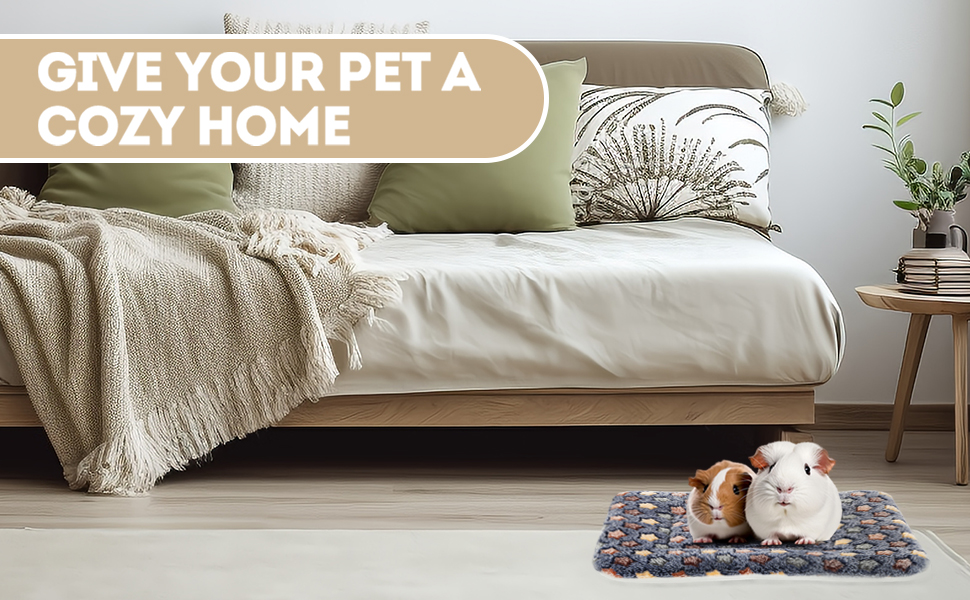 give-guinea-pig-a-cozy-home