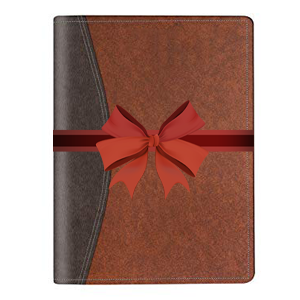 a4,b4,leather certificate file, 20 leafs, big size file, school, file for kids, students, interview