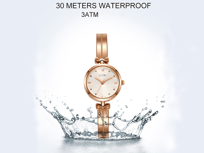 Women Watch Luxury Watches Ladies Casual Watches Fashion Women's Watch Elegant Female Wristwatch