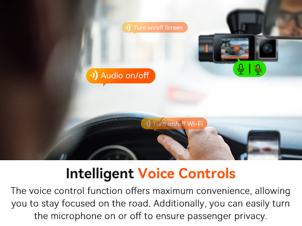 N2X Voice Control