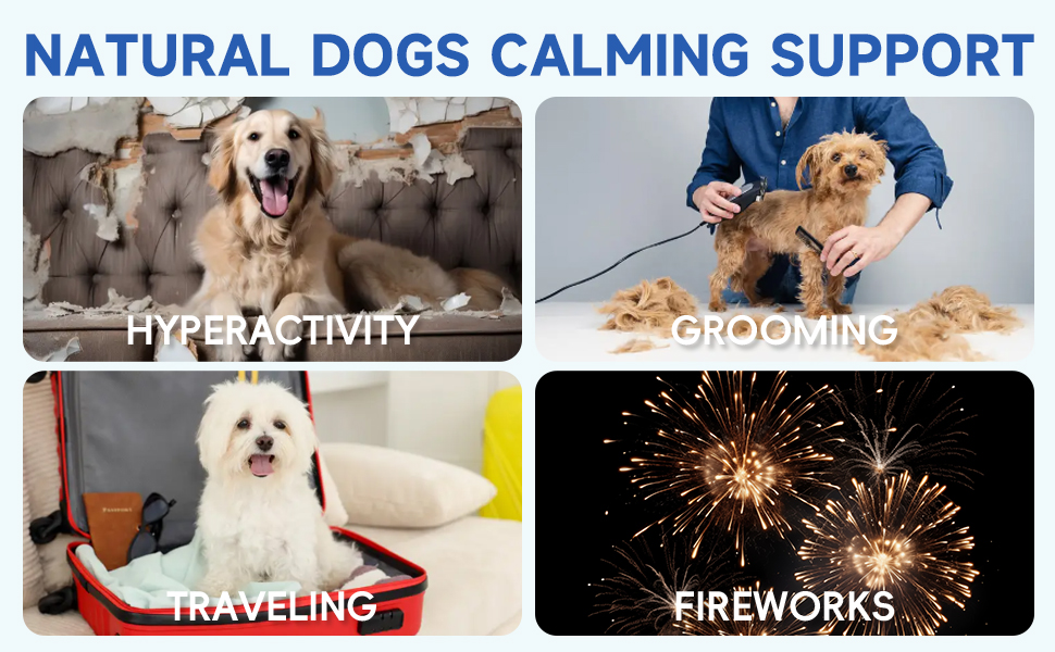 calming chews for dogs