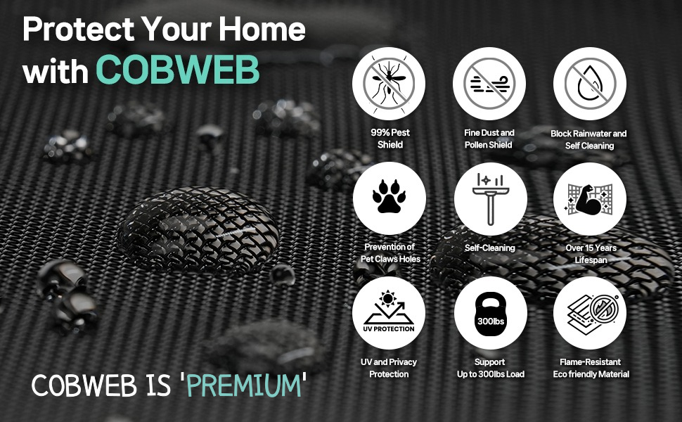 COBWEB window screen