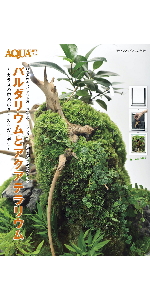 INDOOR JUNGLE（インドアジャングル） No.01 | INDOOR JUNGLE