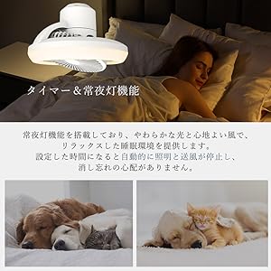 Amazon | アレクサ対応 音声操作 スマート シーリングファン