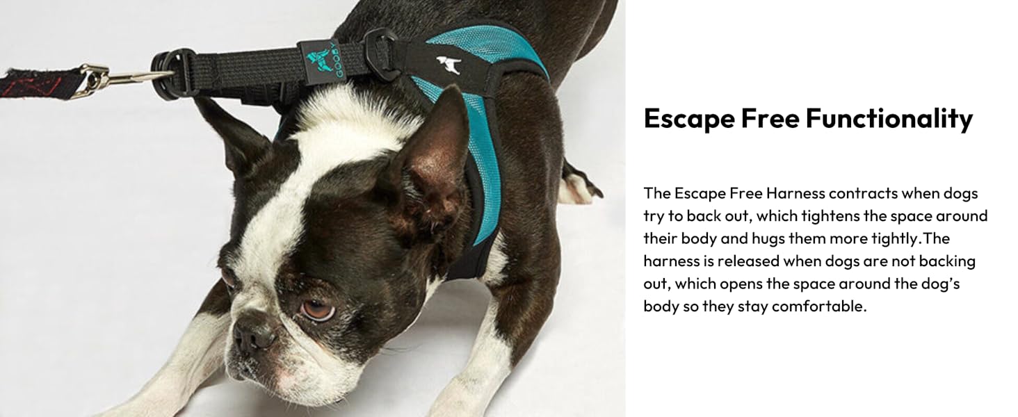 04602 Escape Free Functionality