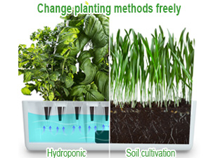 Small manufacture image 3