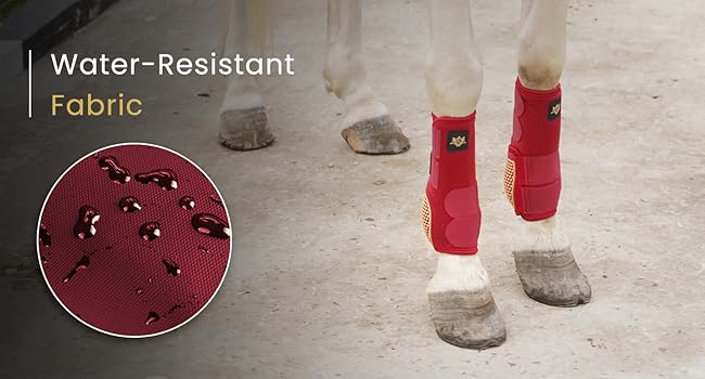 Bell Boots , Horse Tendon Boots , Water repelent Horse Boots