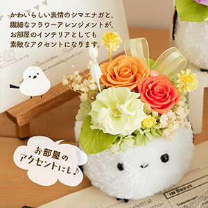 Amazon｜花冠seina プリザーブドフラワー ふわふわ森の