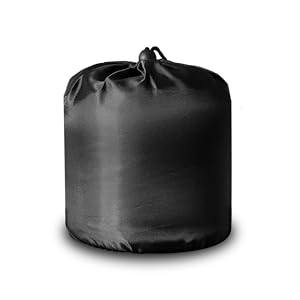 Ind_CarryCase.png